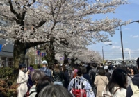 日本研究生開學時間是幾月份？